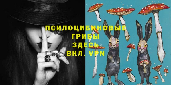 mdpv Иннополис