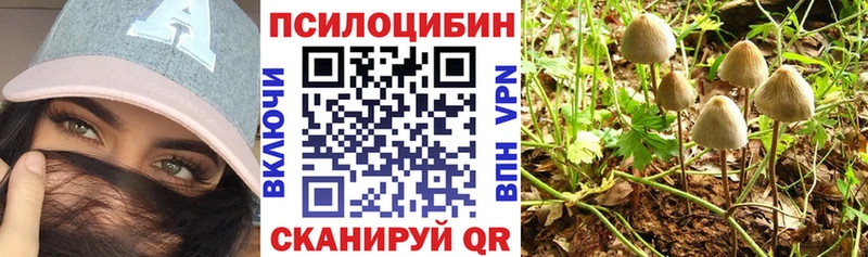 Галлюциногенные грибы Magic Shrooms  Купить закладки  Глазов 